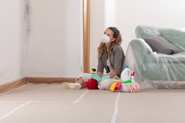 Reliable Basement Mold Removal contractor in Randolph, NJ by WQB Mold Removal